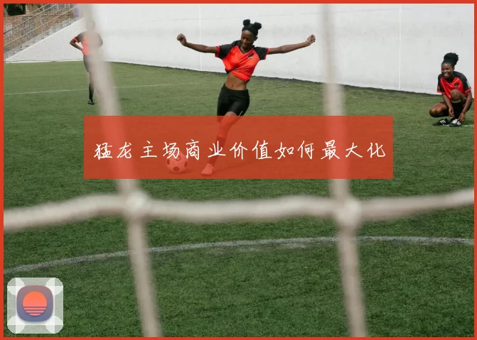 猛龙主场商业价值如何最大化