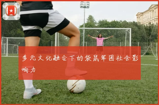 多元文化融合下的袋鼠军团社会影响力