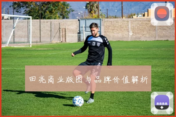 田亮商业版图与品牌价值解析
