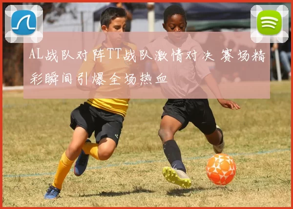 AL战队对阵TT战队激情对决 赛场精彩瞬间引爆全场热血