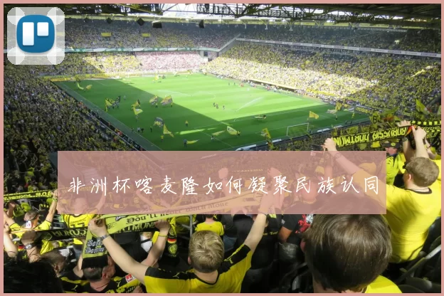 非洲杯喀麦隆如何凝聚民族认同