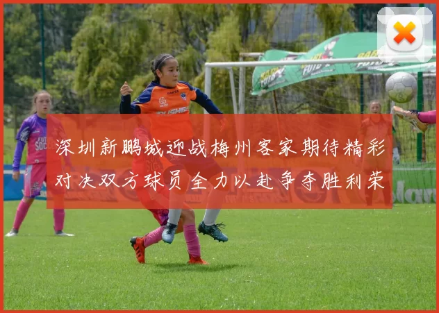 深圳新鹏城迎战梅州客家期待精彩对决双方球员全力以赴争夺胜利荣耀